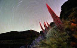 Las vigías del Teide