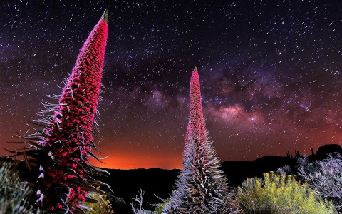 Los guardianes del Teide